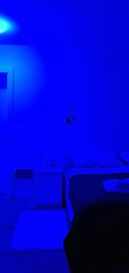 Blueberry Zadar