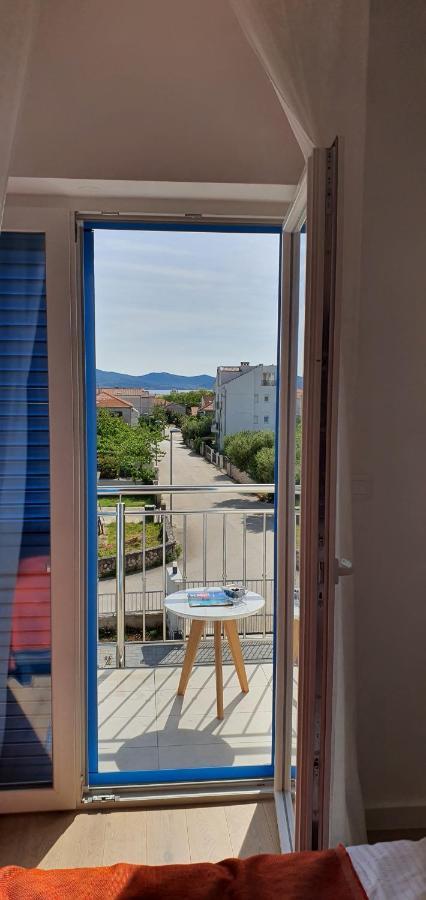 Blueberry * Zadar