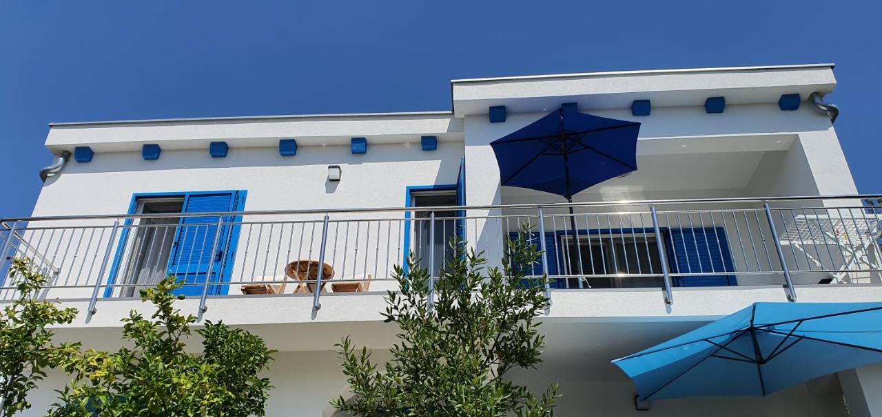 Blueberry * Zadar