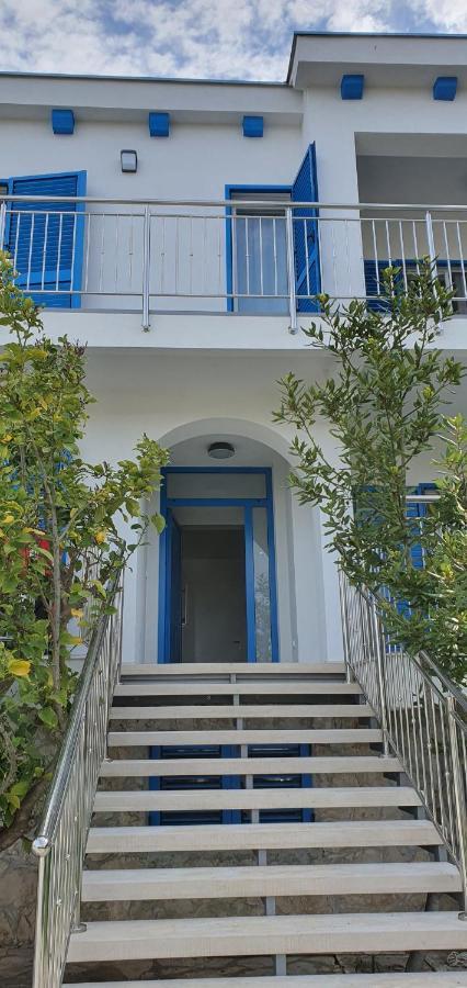 Blueberry Zadar