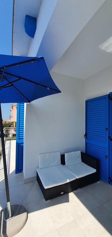 Blueberry Zadar