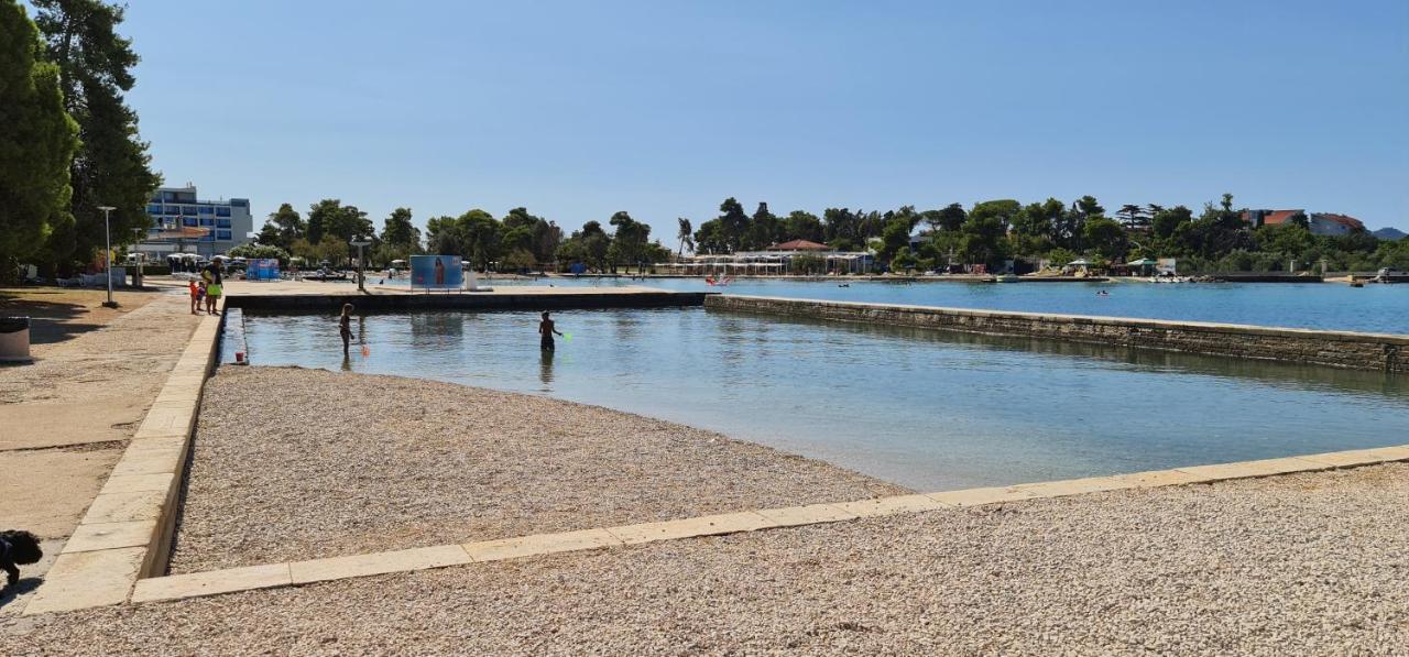 Blueberry * Zadar