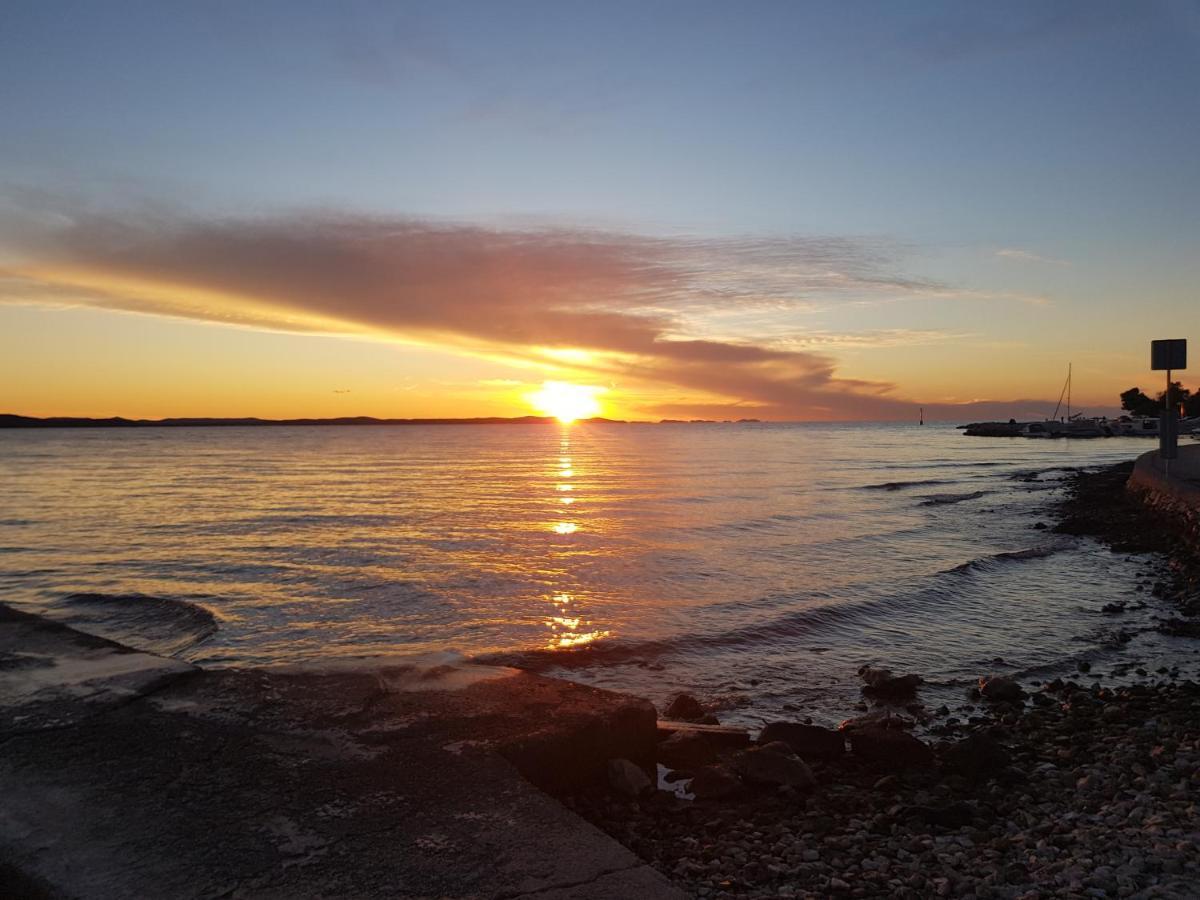 Blueberry * Zadar